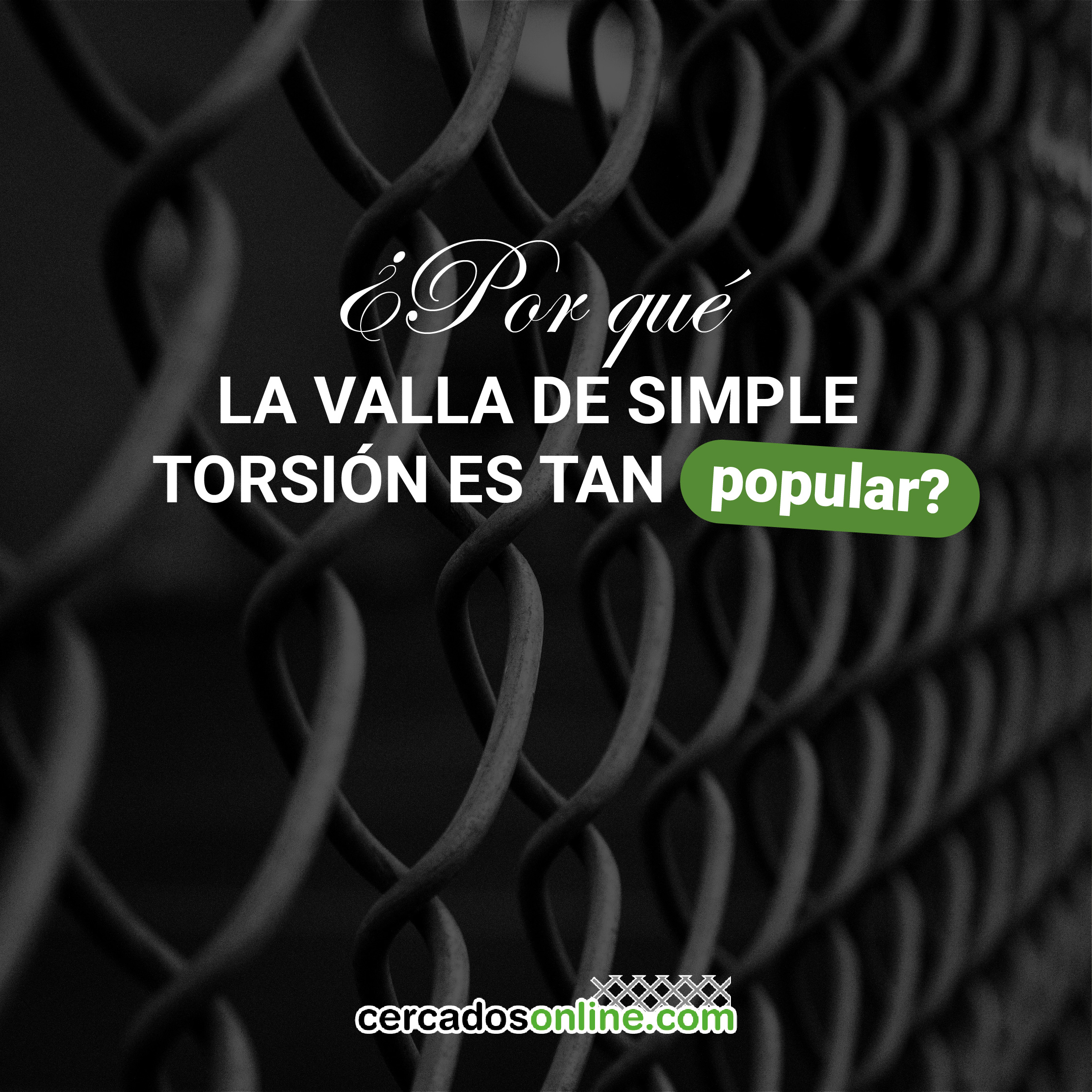 ¿Por qué la valla de simple torsión es tan popular?