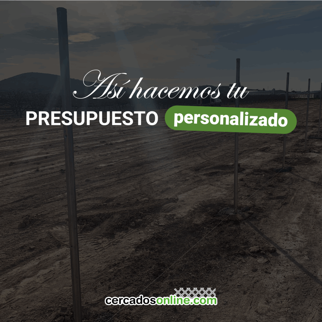 Así hacemos tu presupuesto personalizado