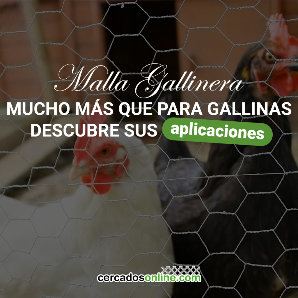 Malla gallinera: usos, ventajas y cómo aprovecharla más allá del gallinero
