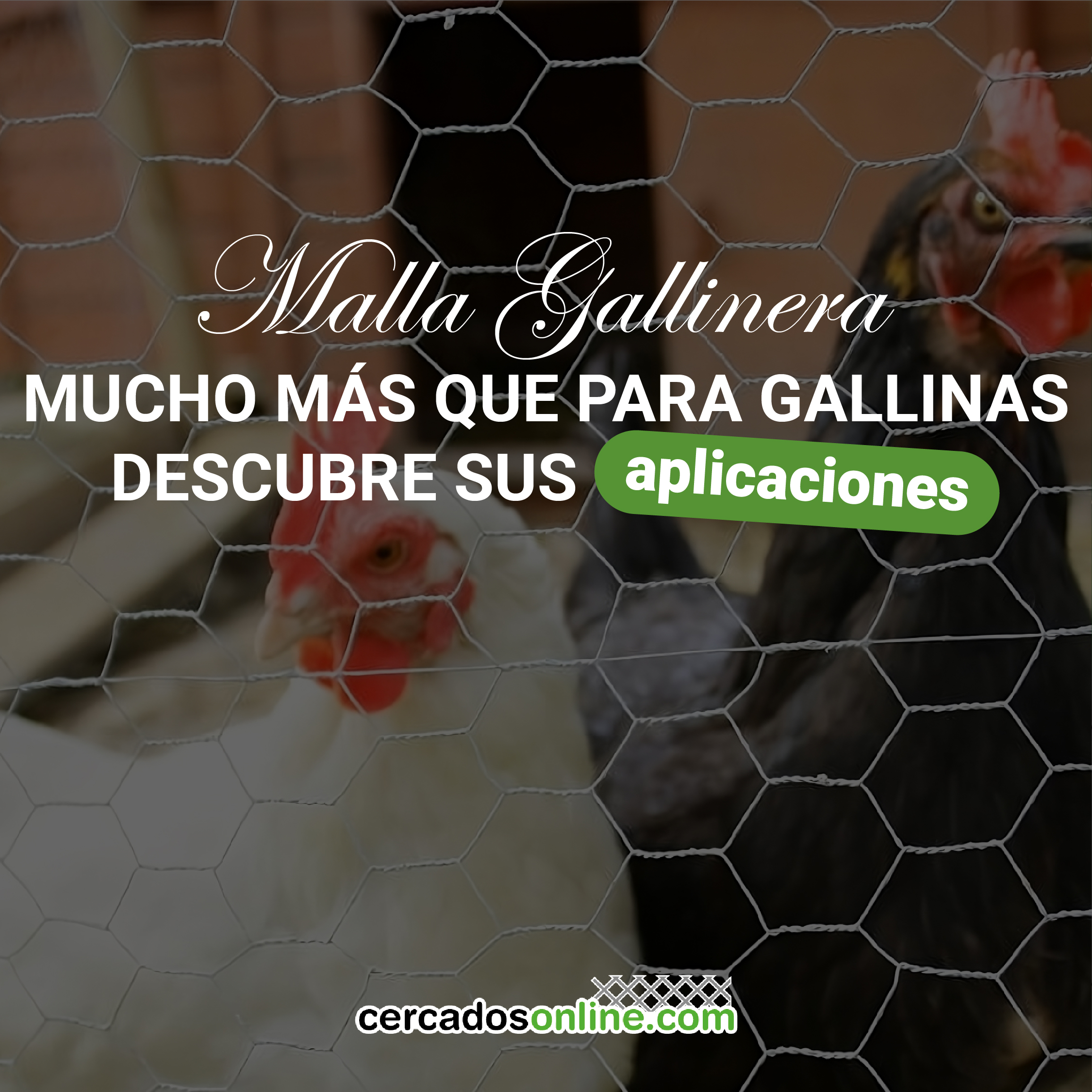Malla gallinera: usos, ventajas y cómo aprovecharla más allá del gallinero