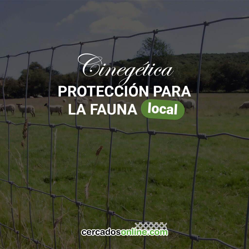Valla cinegética: protección para cultivos y fauna local