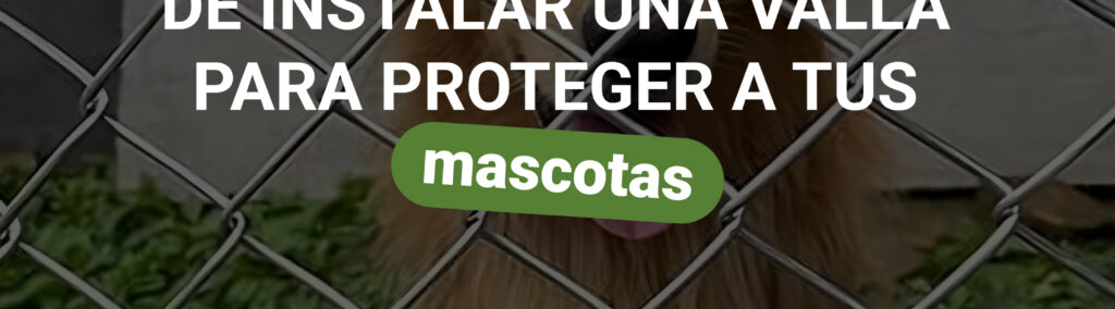 Beneficios de instalar una valla para proteger a tus mascotas.