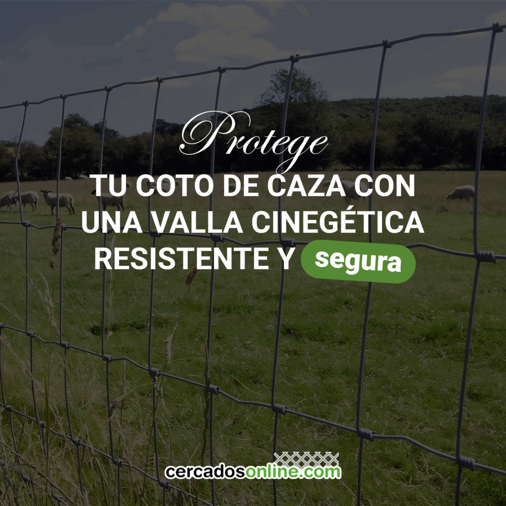 Protege tu coto de caza con una valla cinegética resistente y segura