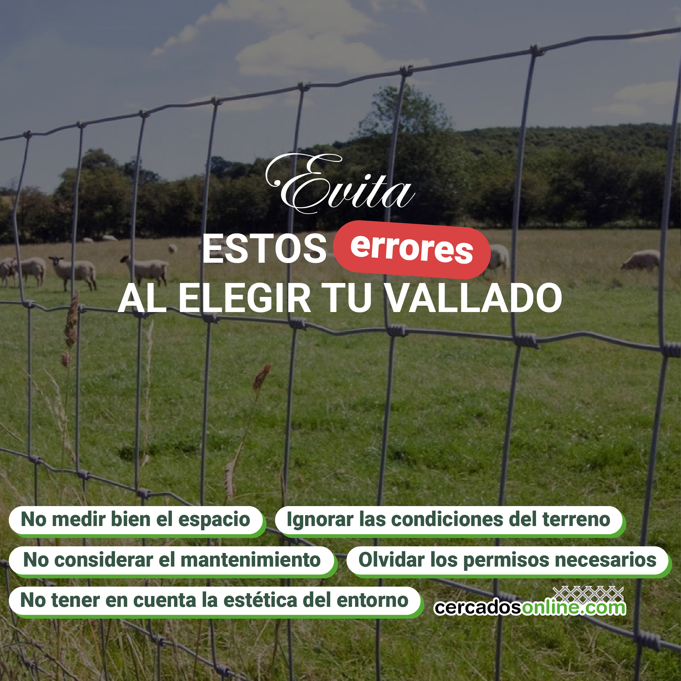 Elegir valla metálica: 5 errores comunes y cómo evitarlos fácilmente