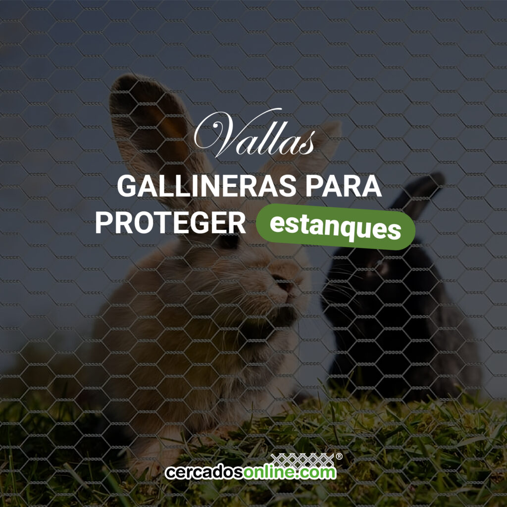 Vallas gallineras: la solución práctica para proteger estanques y zonas con animales