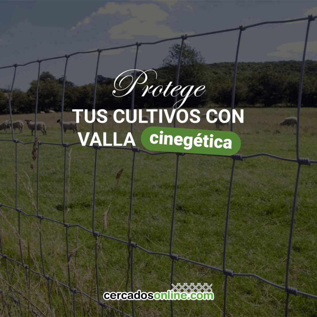 Protege tus cultivos con valla cinegética