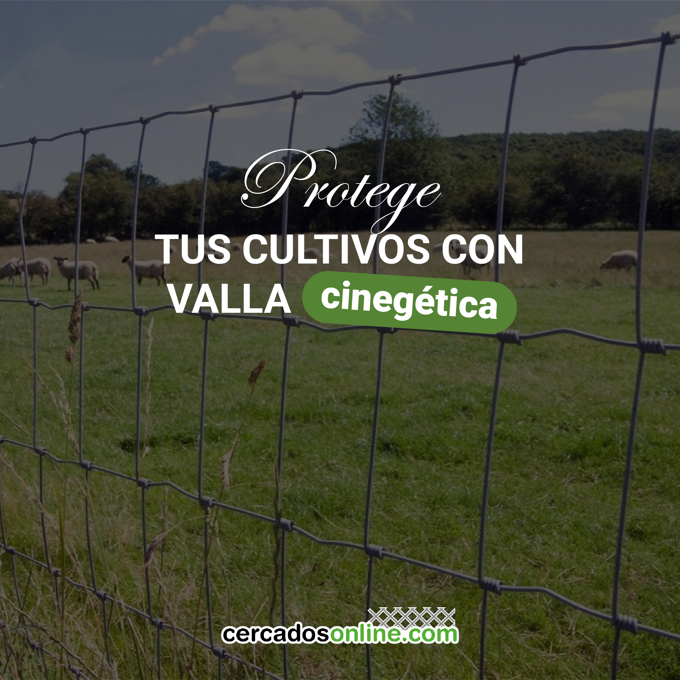 Protege tus cultivos con valla cinegética